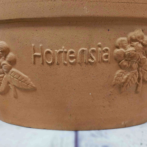 Глиняный горшок HORTENZIA, 37*22 см