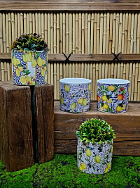 Набор кашпо из керамики 12.5*11.5