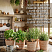 Комплект керамических кашпо с поддоном ESTECHNO «Солнечная Тоскана» (Набор 6 шт., Ø 13 см, натуральная терракота) с доставкой по РФ